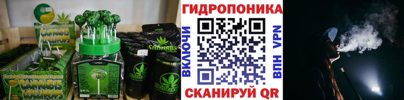 Canna-Cookies конопля  Купить  Клин 