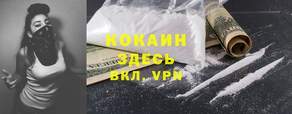 стафф Новосибирск